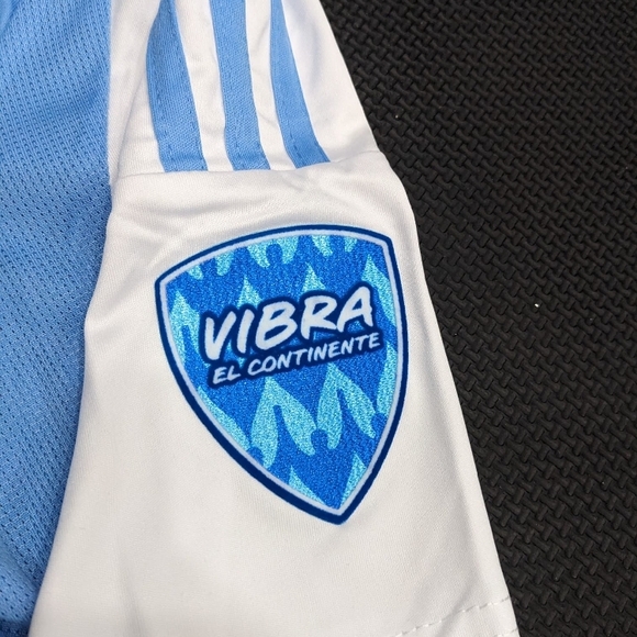 Argentina Messi #10 Copa America Home Adult Jersey - Picture 4 of 10
